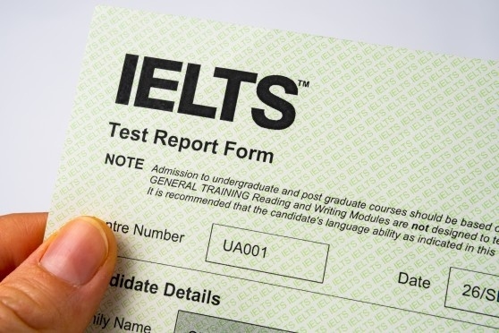 news-list-item-left